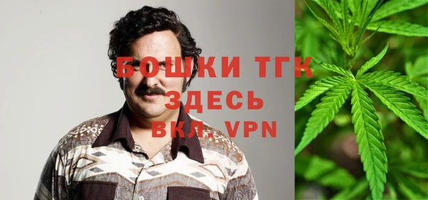 метадон Ладушкин
