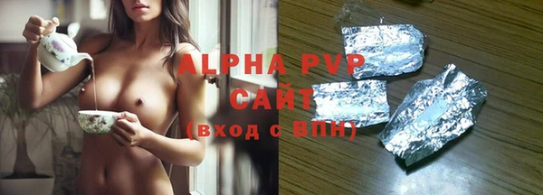 прущие грибы Лабытнанги