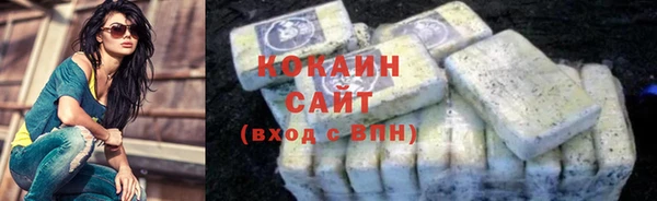 прущие грибы Лабытнанги