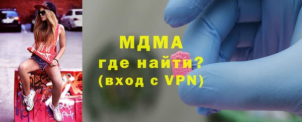 прущие грибы Лабытнанги