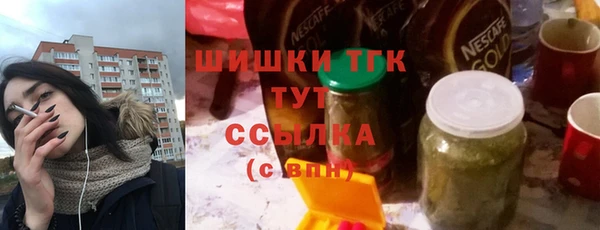 прущие грибы Лабытнанги