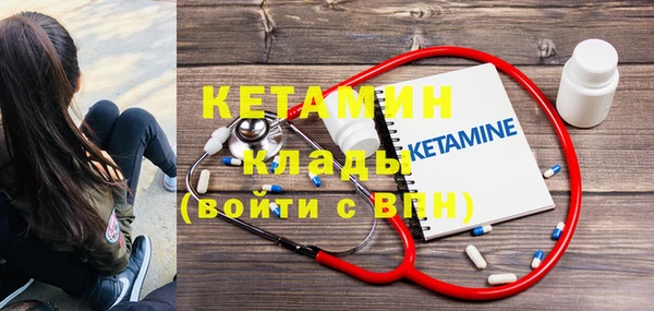прущие грибы Лабытнанги