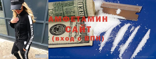 прущие грибы Лабытнанги