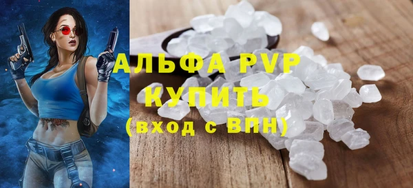 прущие грибы Лабытнанги
