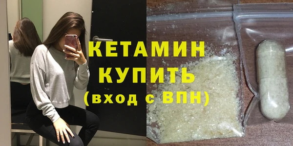 крисы Кулебаки