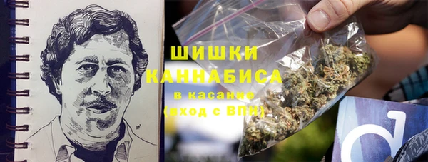 прущие грибы Лабытнанги