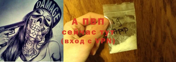 PSILOCYBIN Кукмор
