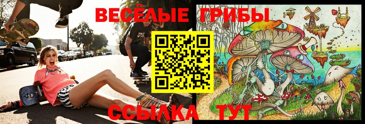 Псилоцибиновые грибы Cubensis  Вход с VPN  Звенигород  Галлюциногенные грибы мухоморы 