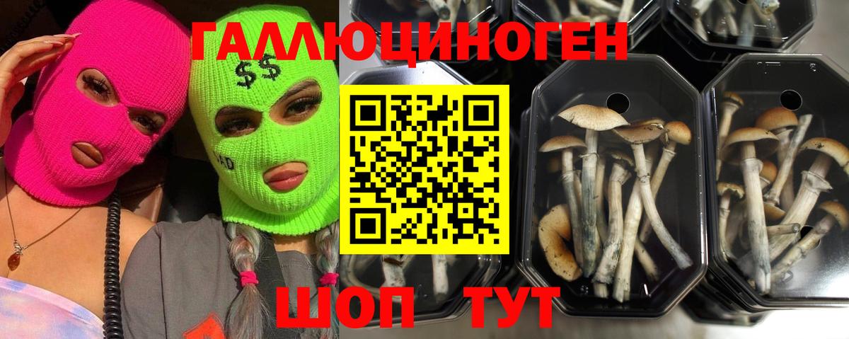 Псилоцибиновые грибы мухоморы  Галлюциногенные грибы мицелий  где найти наркотики  Звенигород 